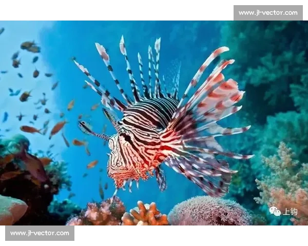 探秘以文鱼为核心的生态美味之旅从深海到餐桌的奇妙故事